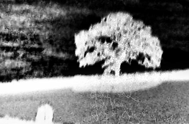 ghosts of oaks